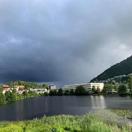 Bergen's Finest: Sleek Oasis With Two Bedroom Apartmán *